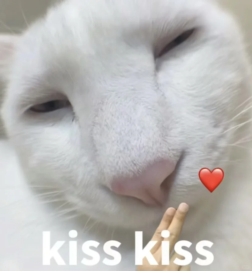 夜深了，闺儿，咱整点禁忌的🫦