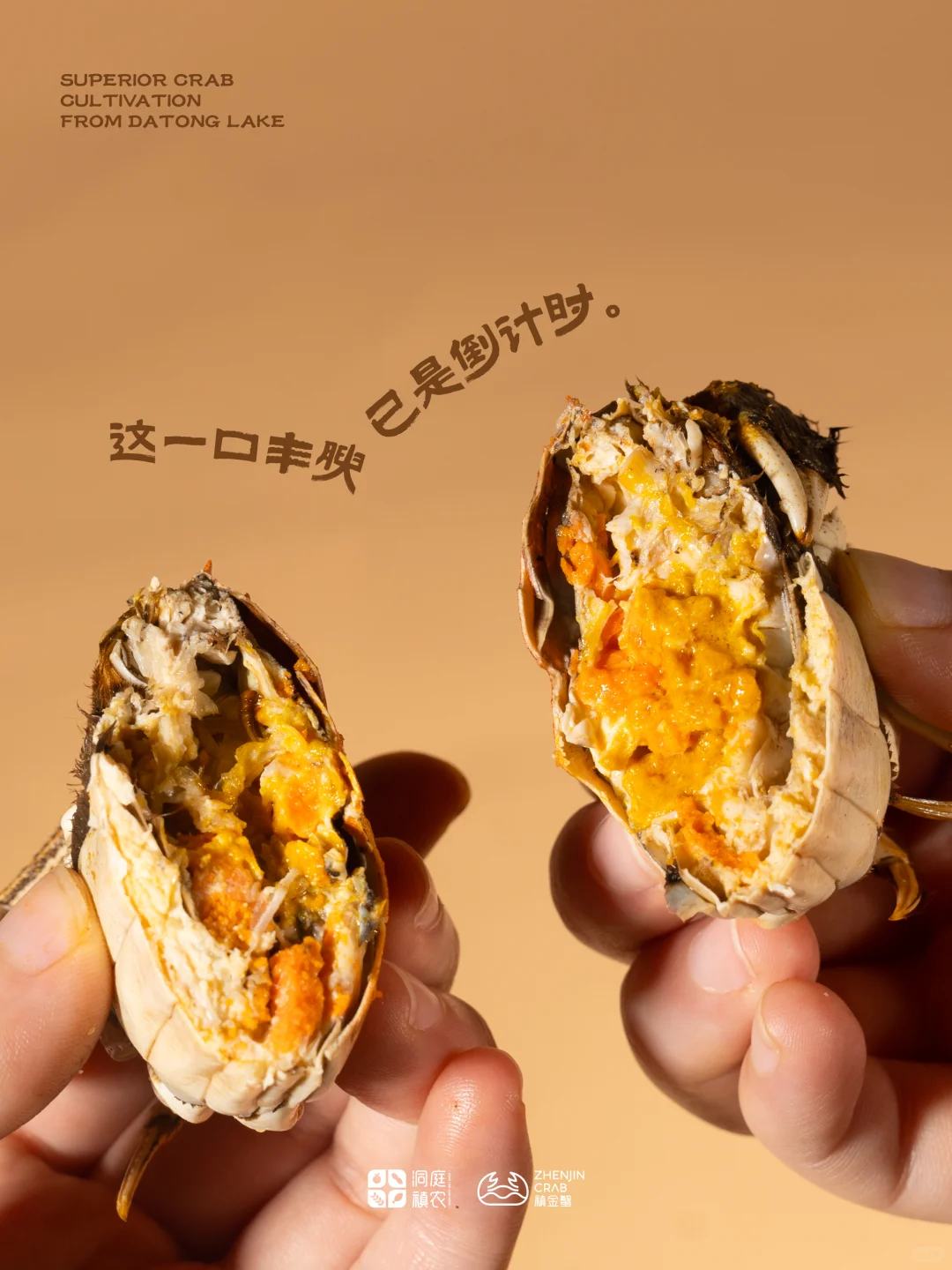 是谁还没抓住蟹季的尾巴？快！