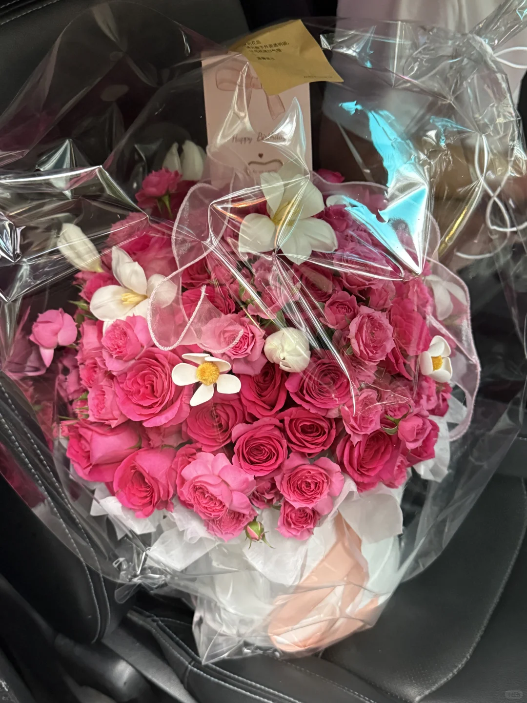 是娇艳的明媚的