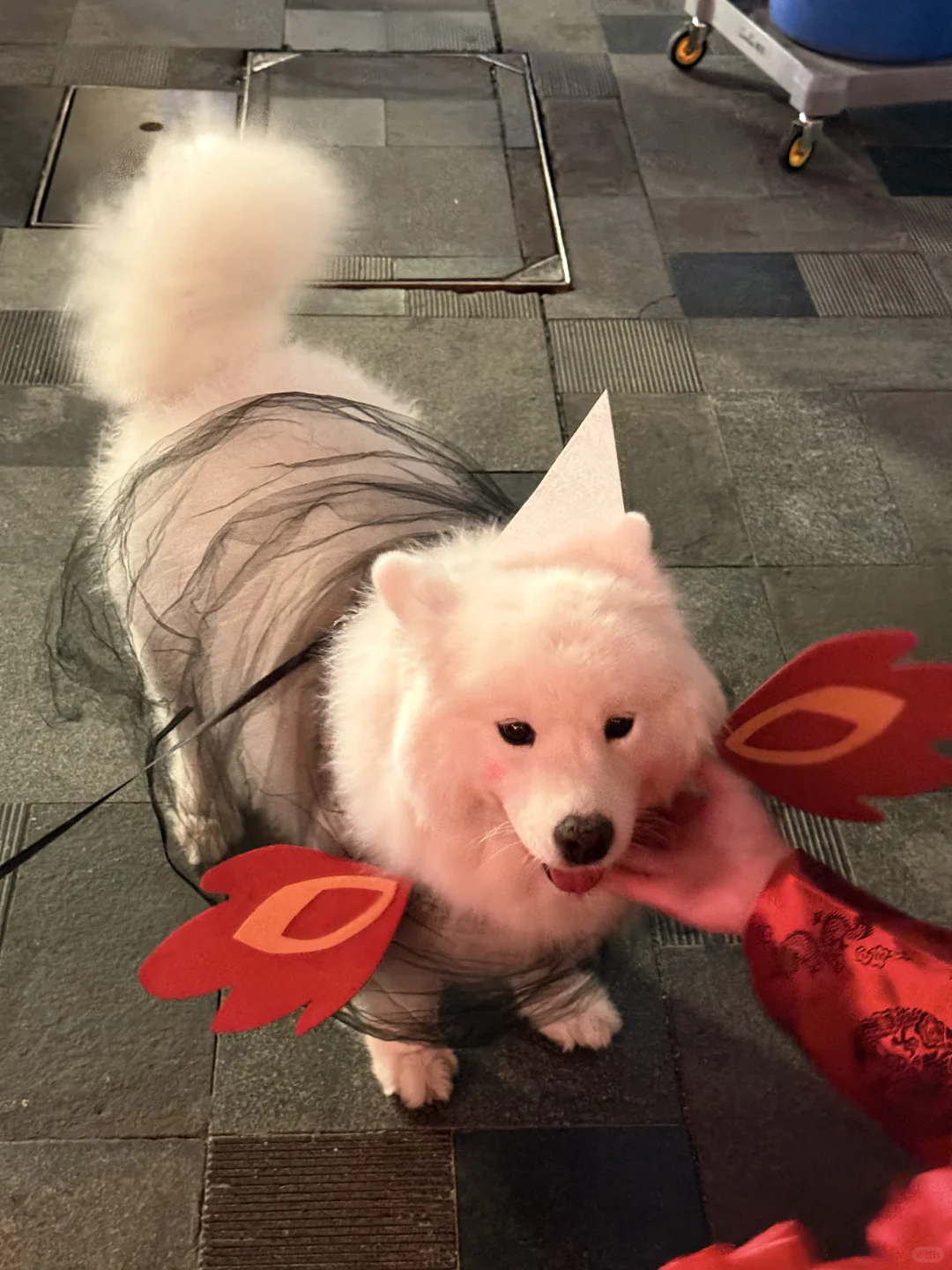 全成都的人都出门了吗