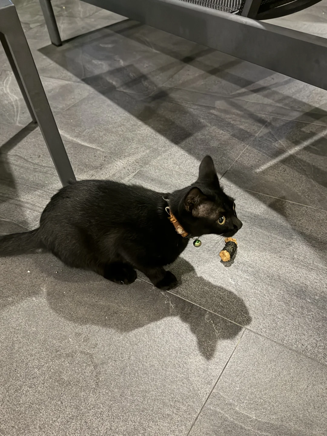 蓝调时刻 (..›ᴗ‹..) ⸝⸝⸝⸝⸝ ♡