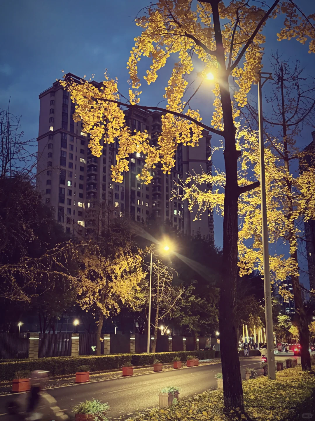 姐味儿狠重、、