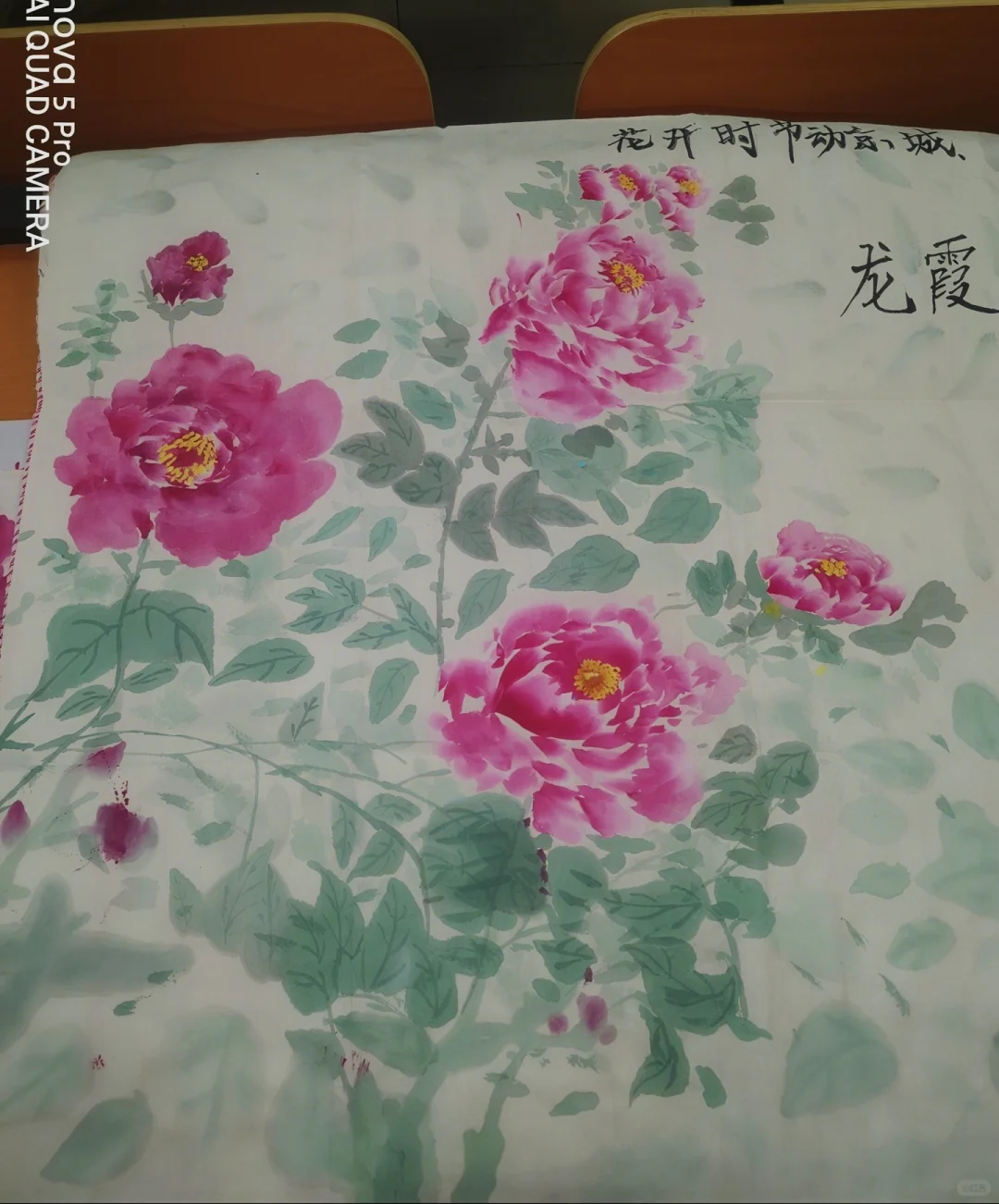 牡丹之韵：国色天香的华贵篇章