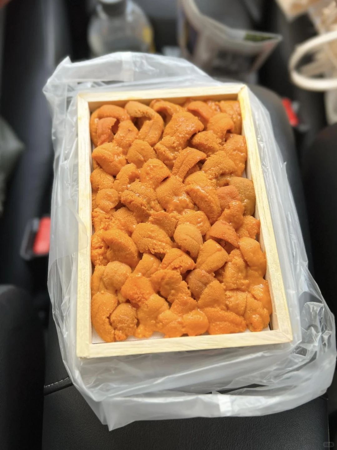 🦀️札幌二条市场海鲜分享避雷‼️