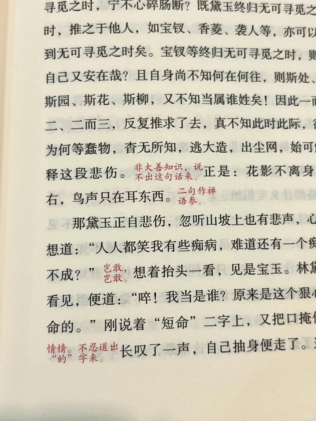 弹幕大神脂砚斋吐槽《红楼梦》