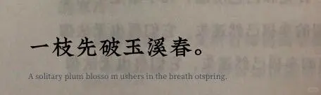 “天呐，一句话惊艳到骨子里”