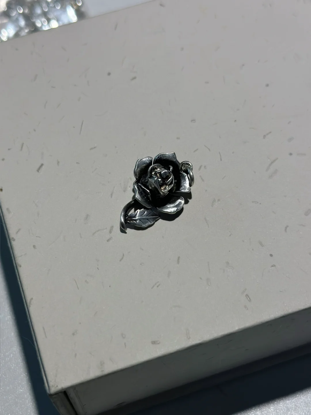 bee～～～🌹🐝🗃️