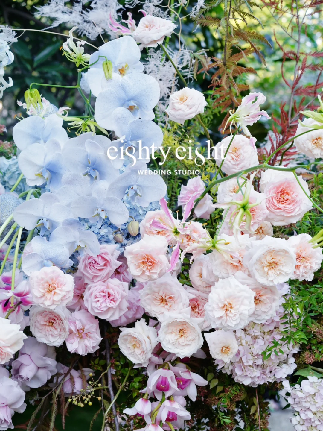 雍福会草坪婚礼｜阳光下的花更娇艳🧚🏻🌸