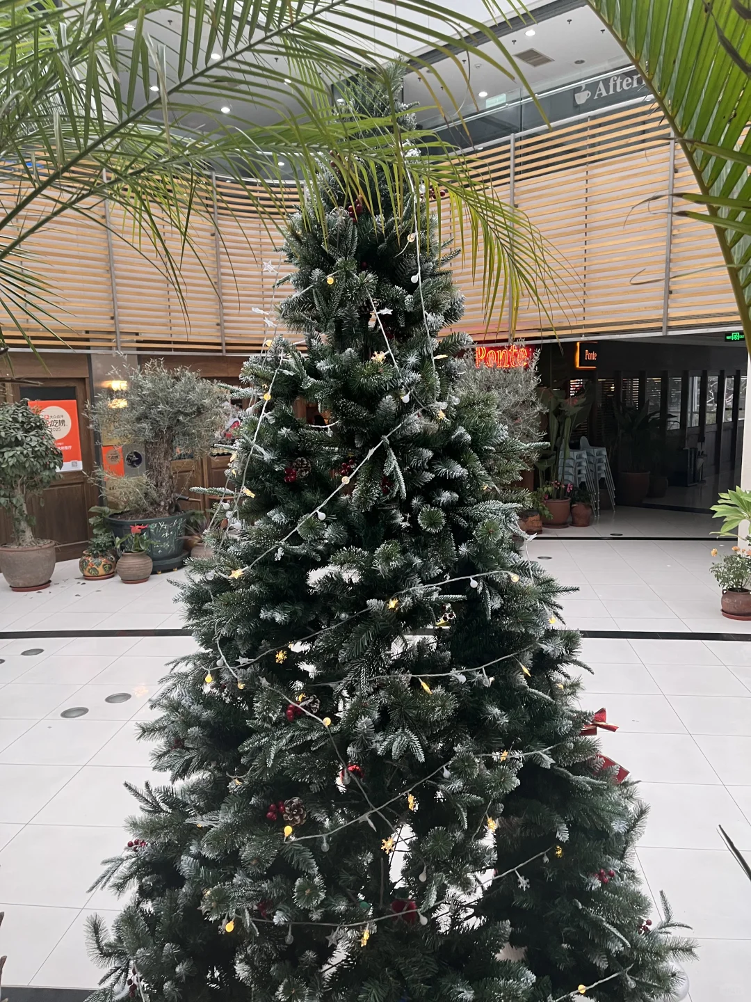 《意韵圣诞·味蕾盛宴》