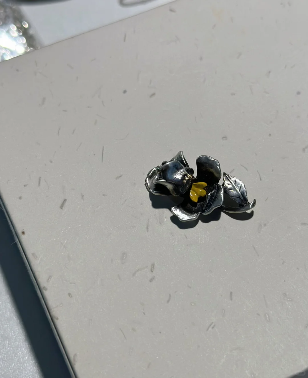 bee～～～🌹🐝🗃️