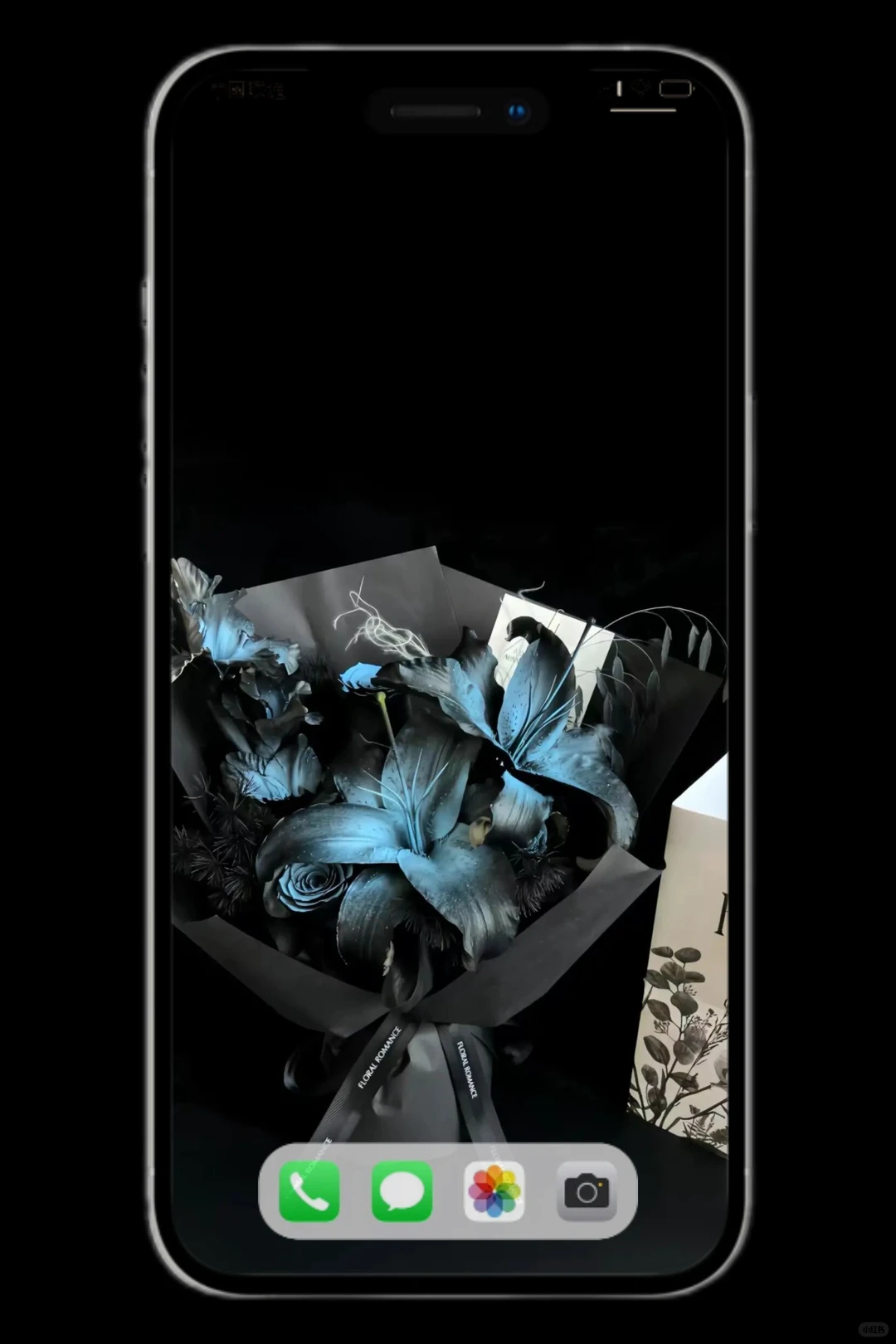 我爱的静物摄影壁纸来啦～