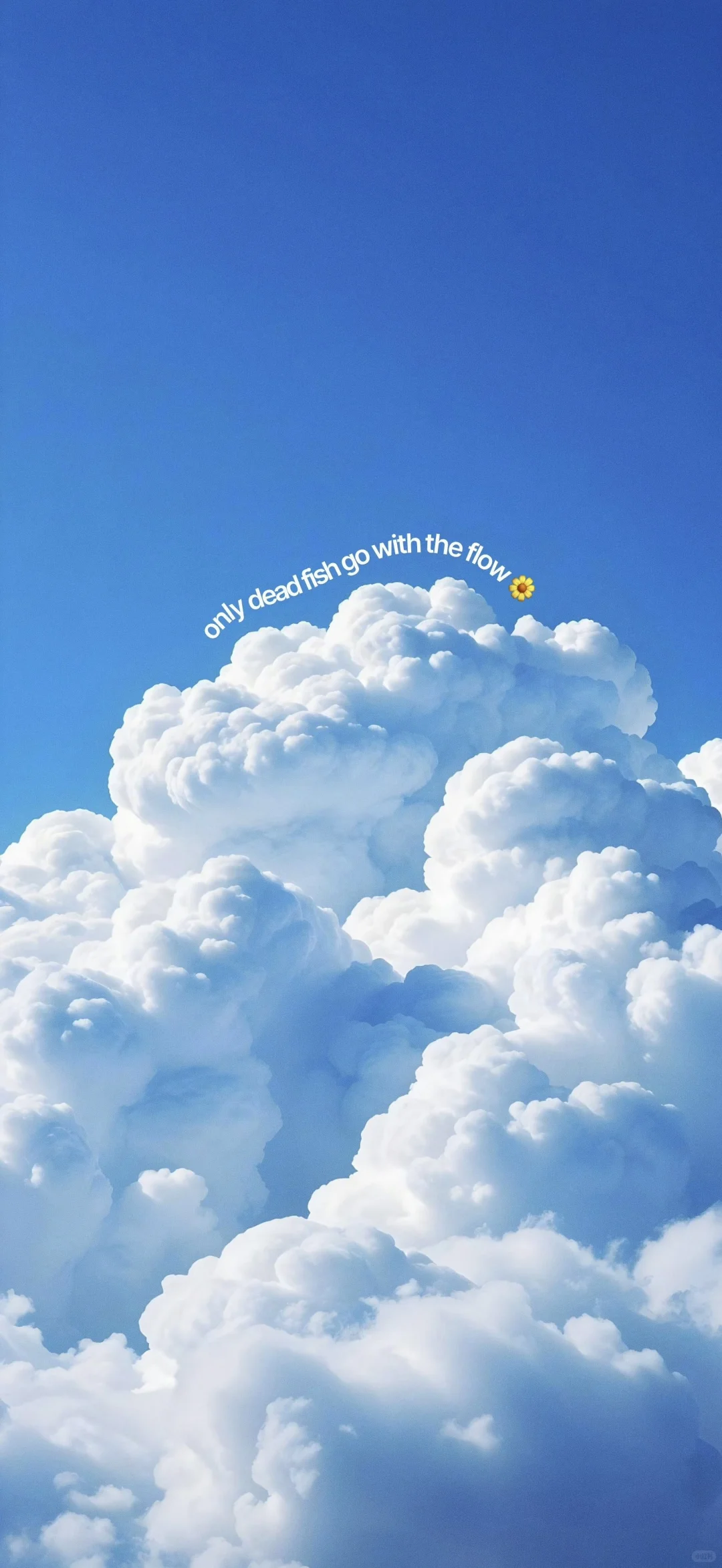 高清手机壁纸分享｜20