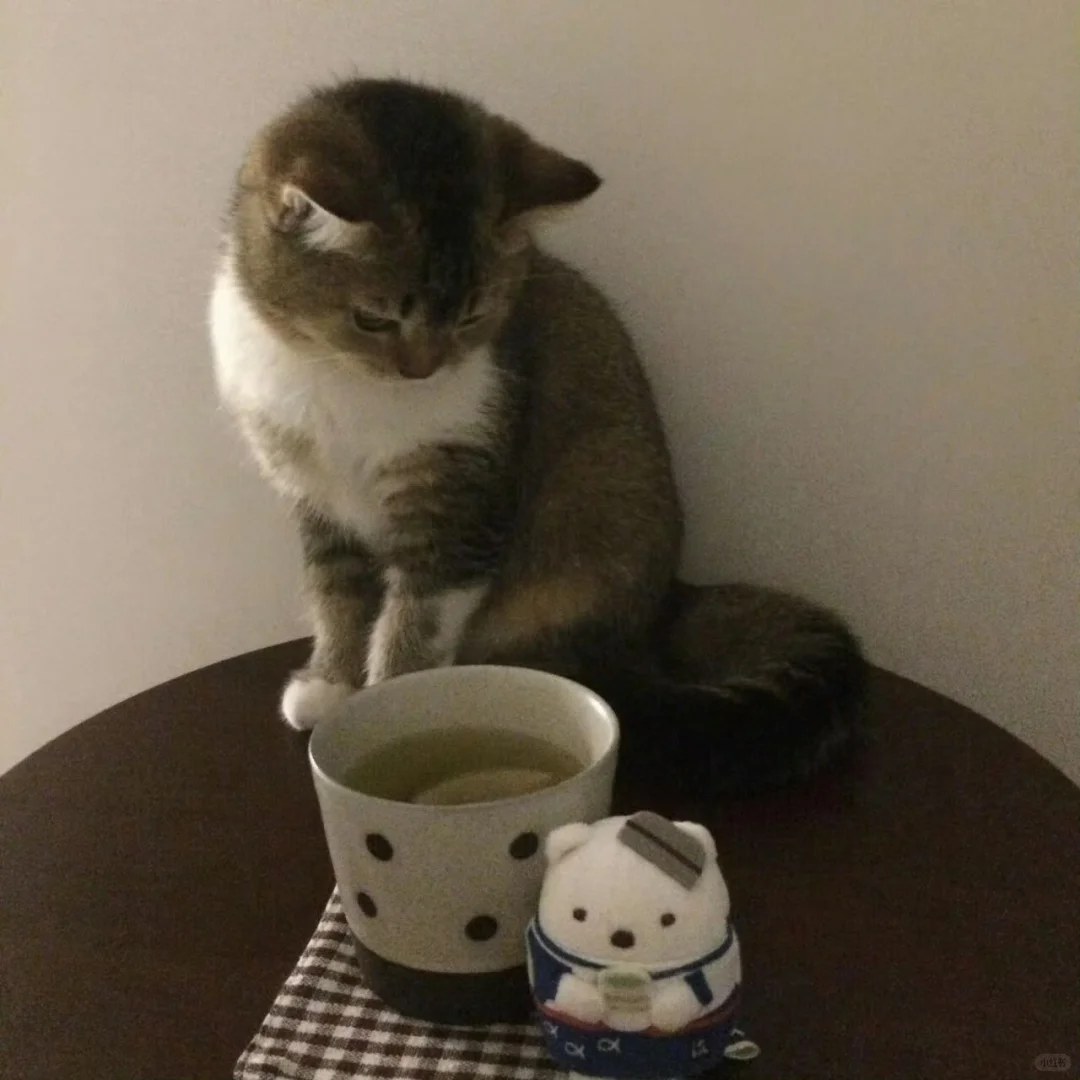 share🍥|自拼壁纸⊹✮₊⋆