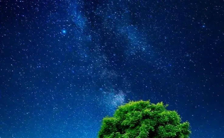 回忆满满，玩过这个的都多大了，童年壁纸