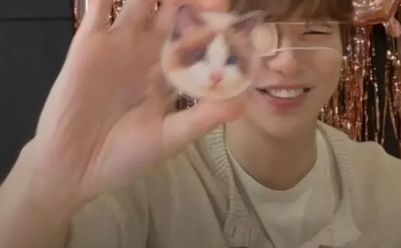 丹尼尔手机壁纸/fancon会员礼&赞儿/鸭鸭