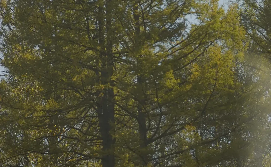 竖屏壁纸·风景～