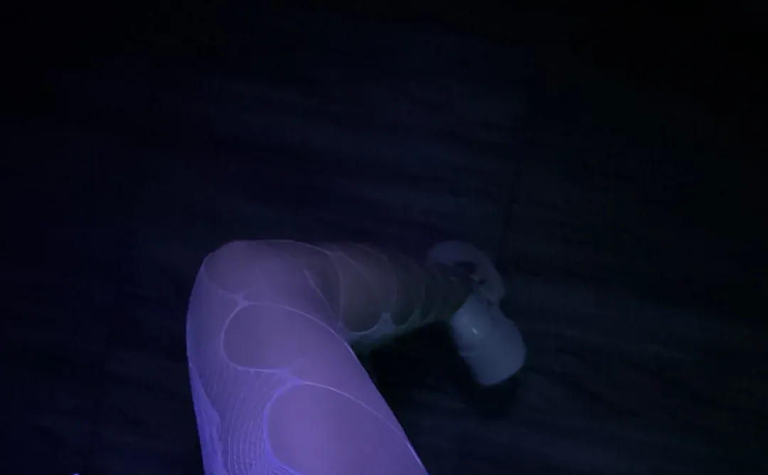 白色的也不错呢