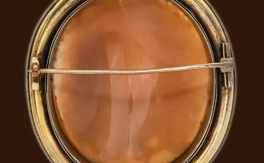 美杜莎｜一眼沉沦