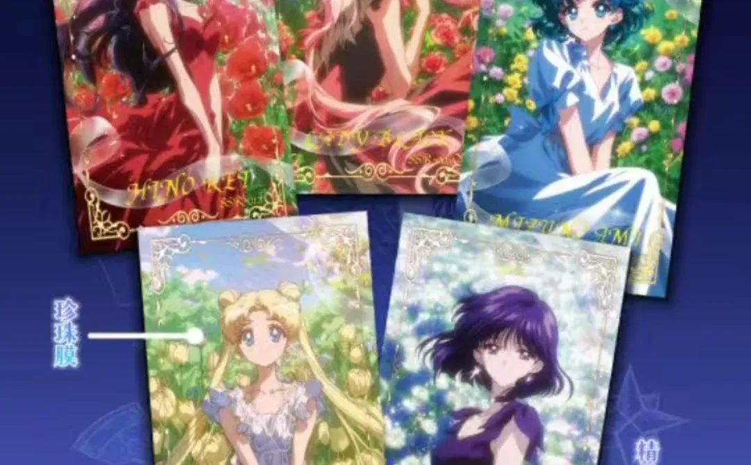 祈月美战！又又又降价了！