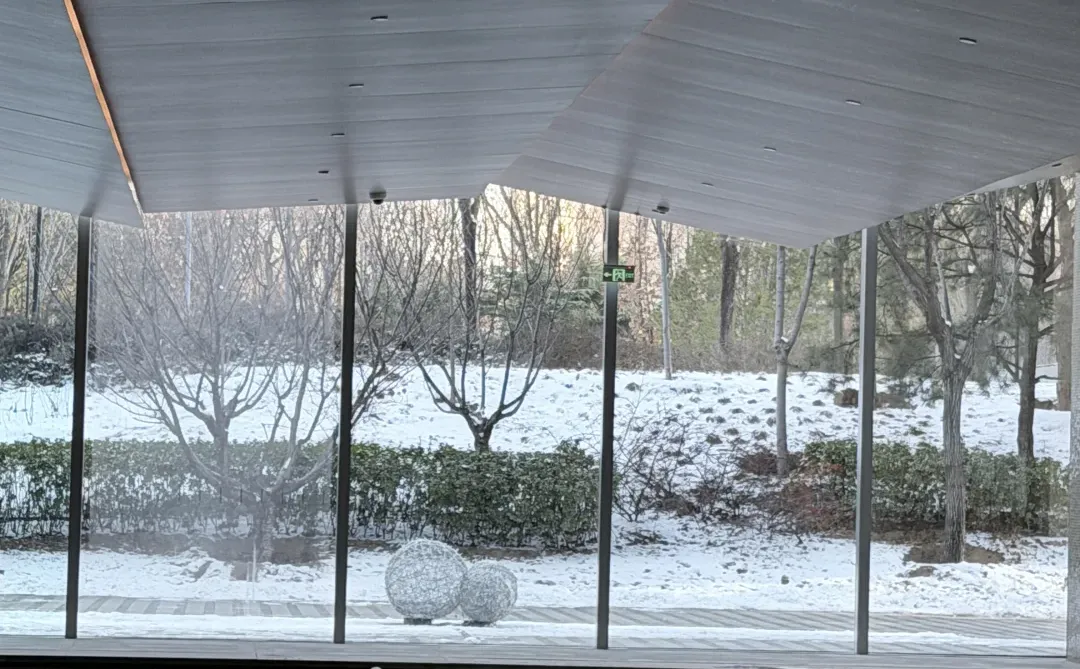 下完雪泳池美绝了