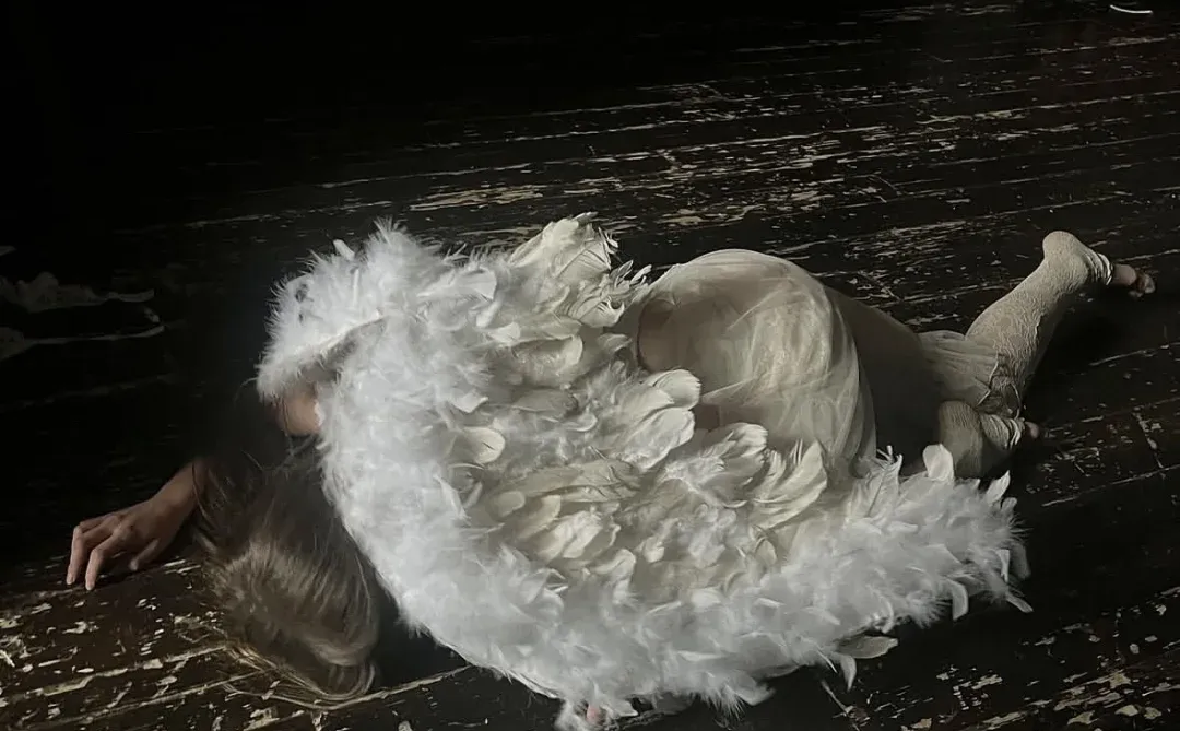 𝕭𝖗𝖔𝖐𝖊𝖓 𝖂𝖎𝖓𝖌𝖘 🪽