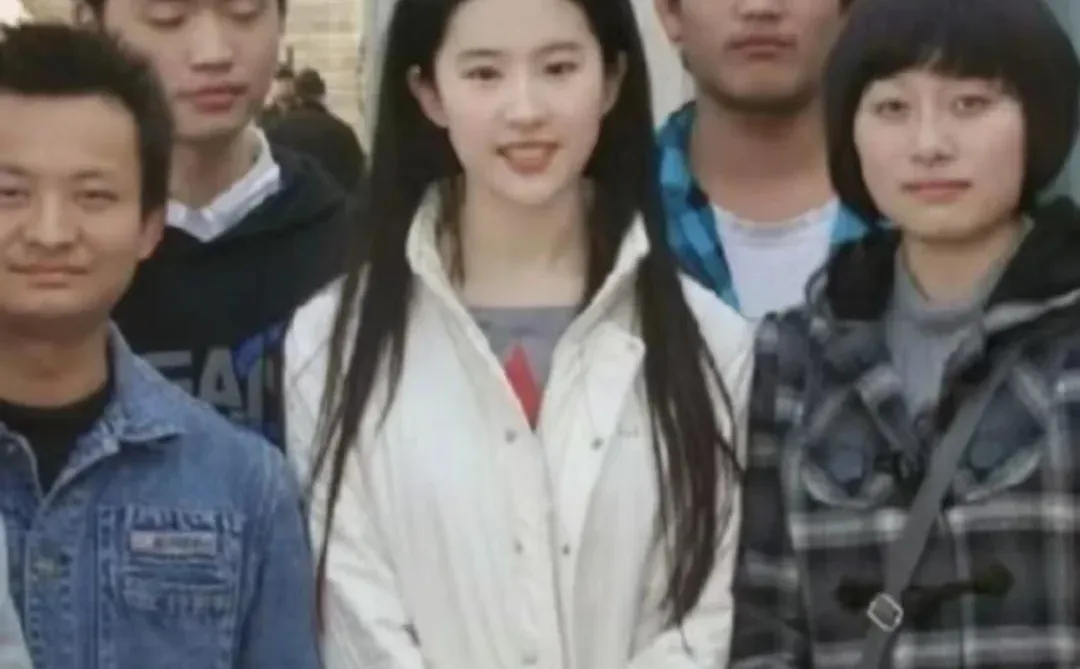 Vocal。。。第一次这么直观