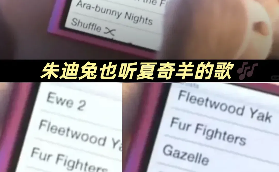 没人说吗？疯狂动物城2女明星更迷人了