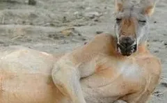 地铁上看到一个女孩子