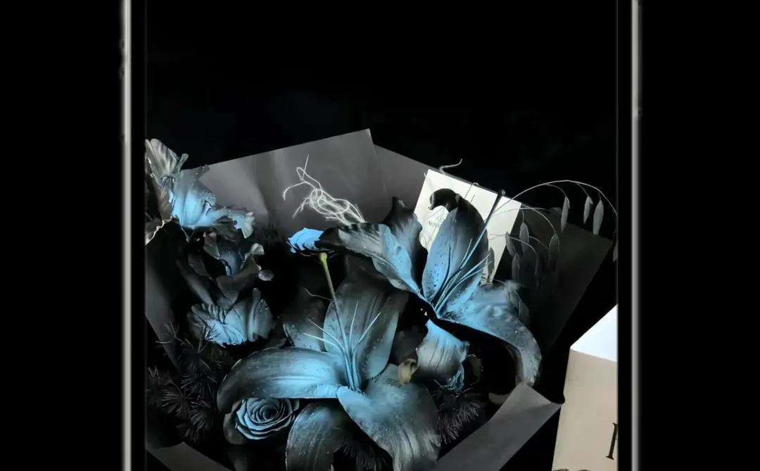 我爱的静物摄影壁纸来啦～