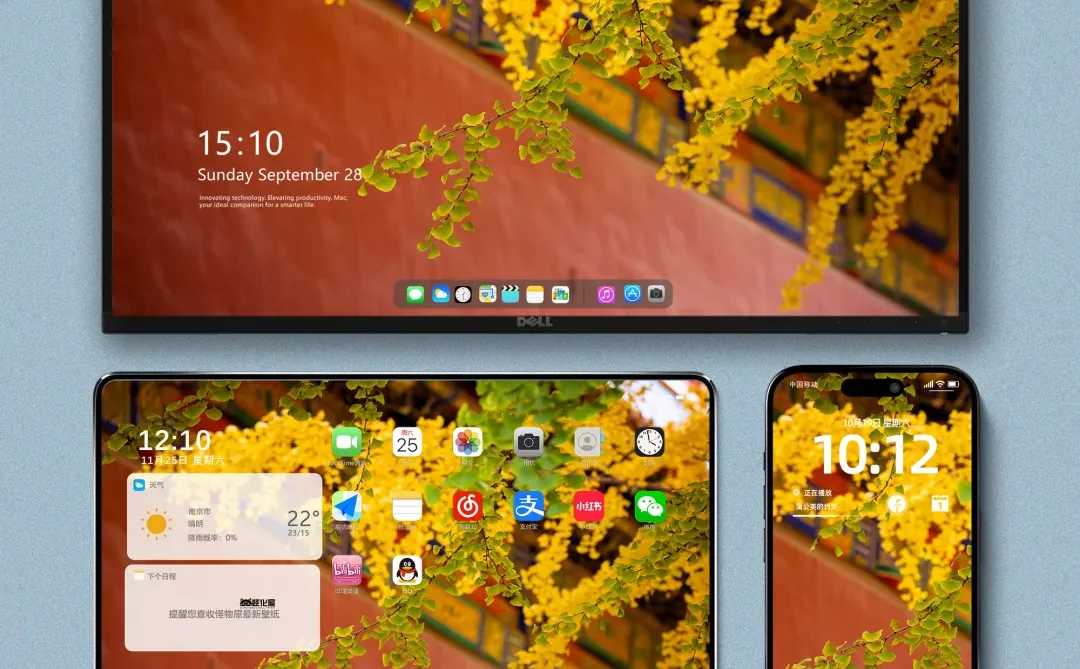 壁纸｜橘子色的秋天🍂，太美了！