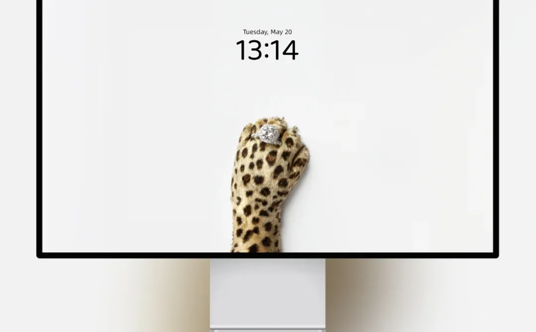 豹纹壁纸 l 钻戒爪爪