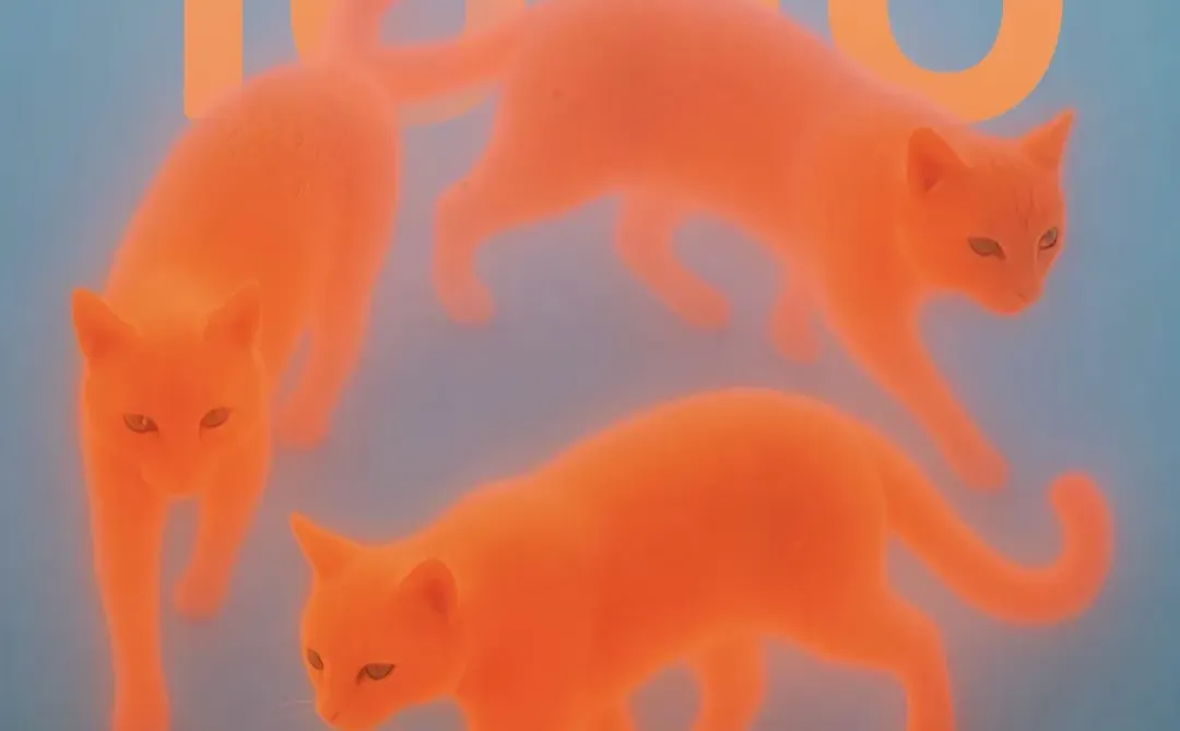 wallpaper| 小众壁纸