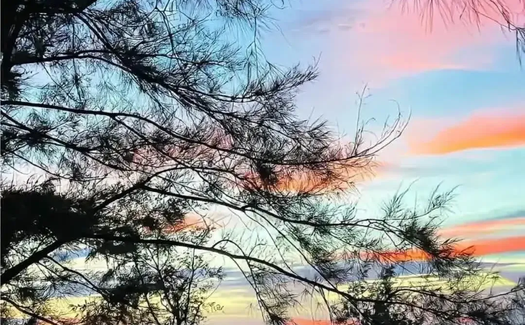 𝙎𝙝𝙖𝙧𝙚超清好看ins全屏壁纸