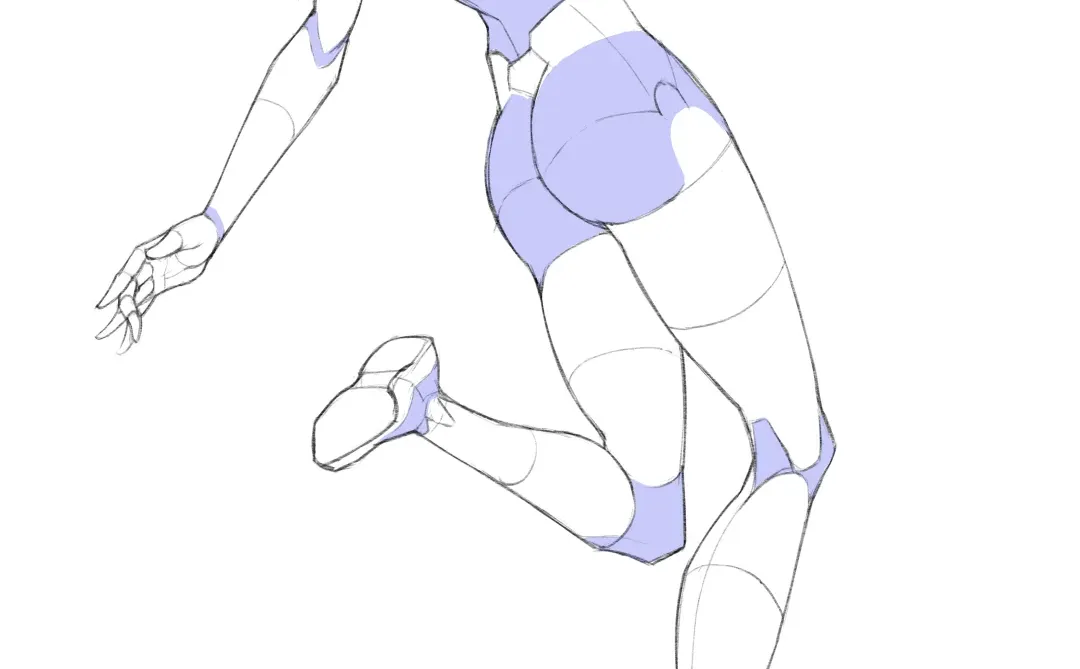 人体绘画_腿部曲线