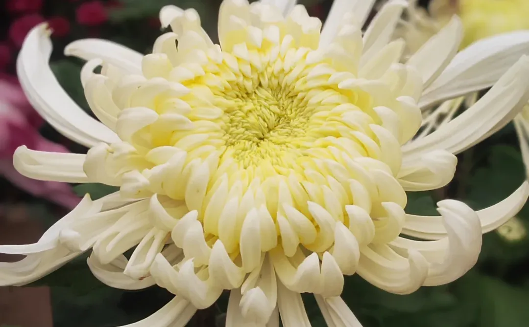 53岁，我的“最美时光”！