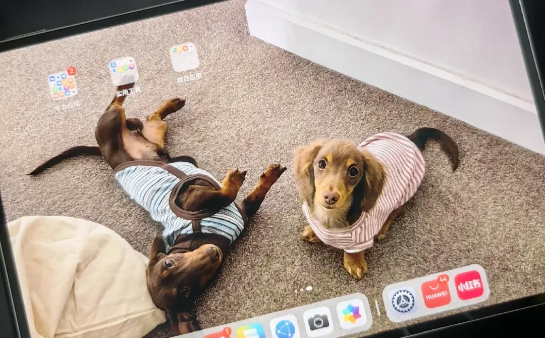 华为MatePadPro已买，公主请交出你的壁纸！