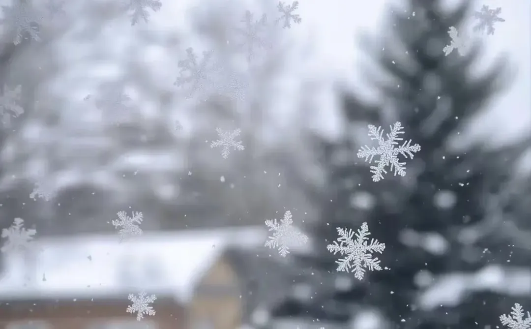 壁纸¦凛冬已至 北境寒冰