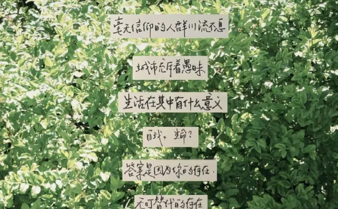 有一天，我不再把离别当失去ins壁纸