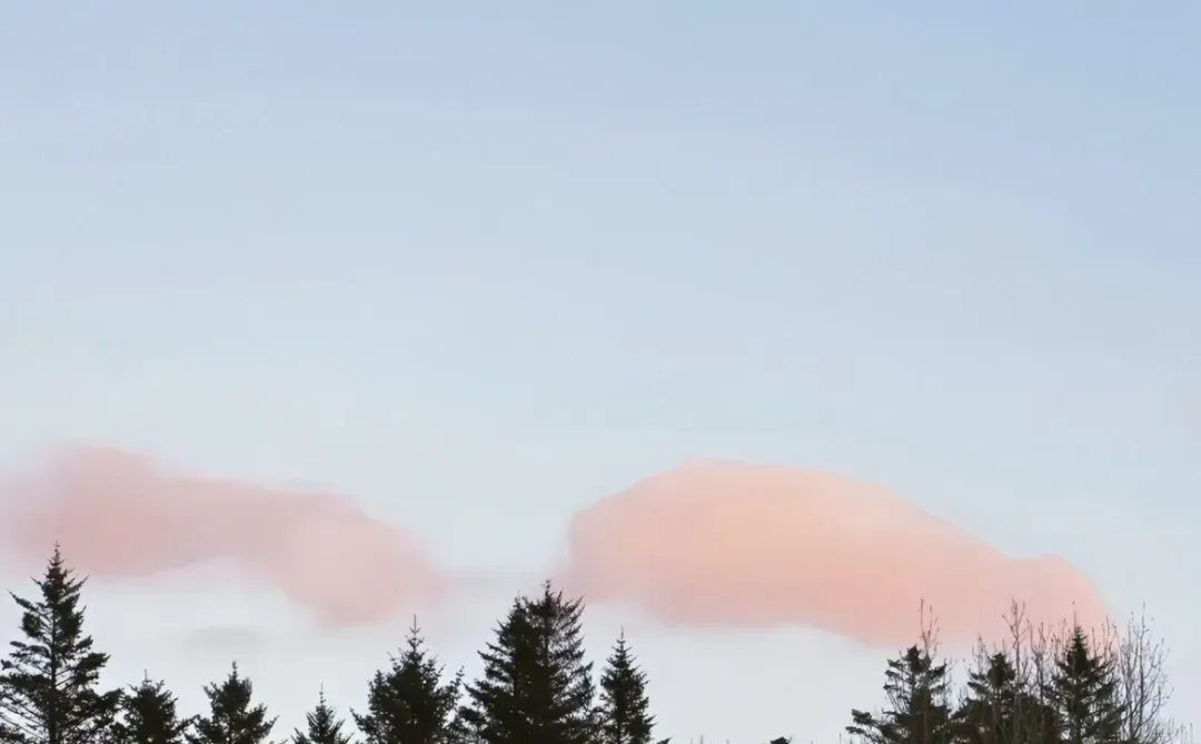 𝙎𝙝𝙖𝙧𝙚｜申请成为你的冬季氛围感壁纸❄️