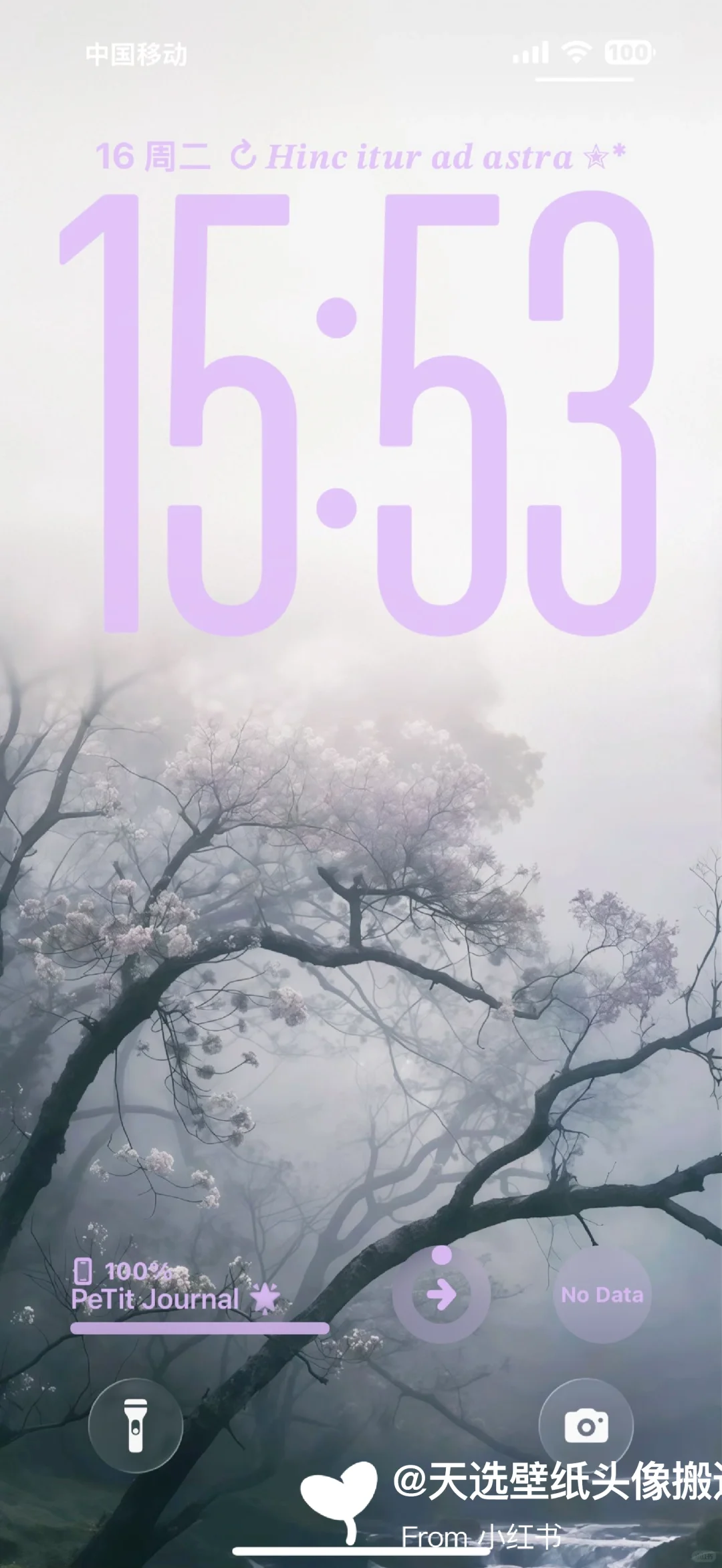 wallpaper| 小众壁纸12.16#动漫壁纸  #美式