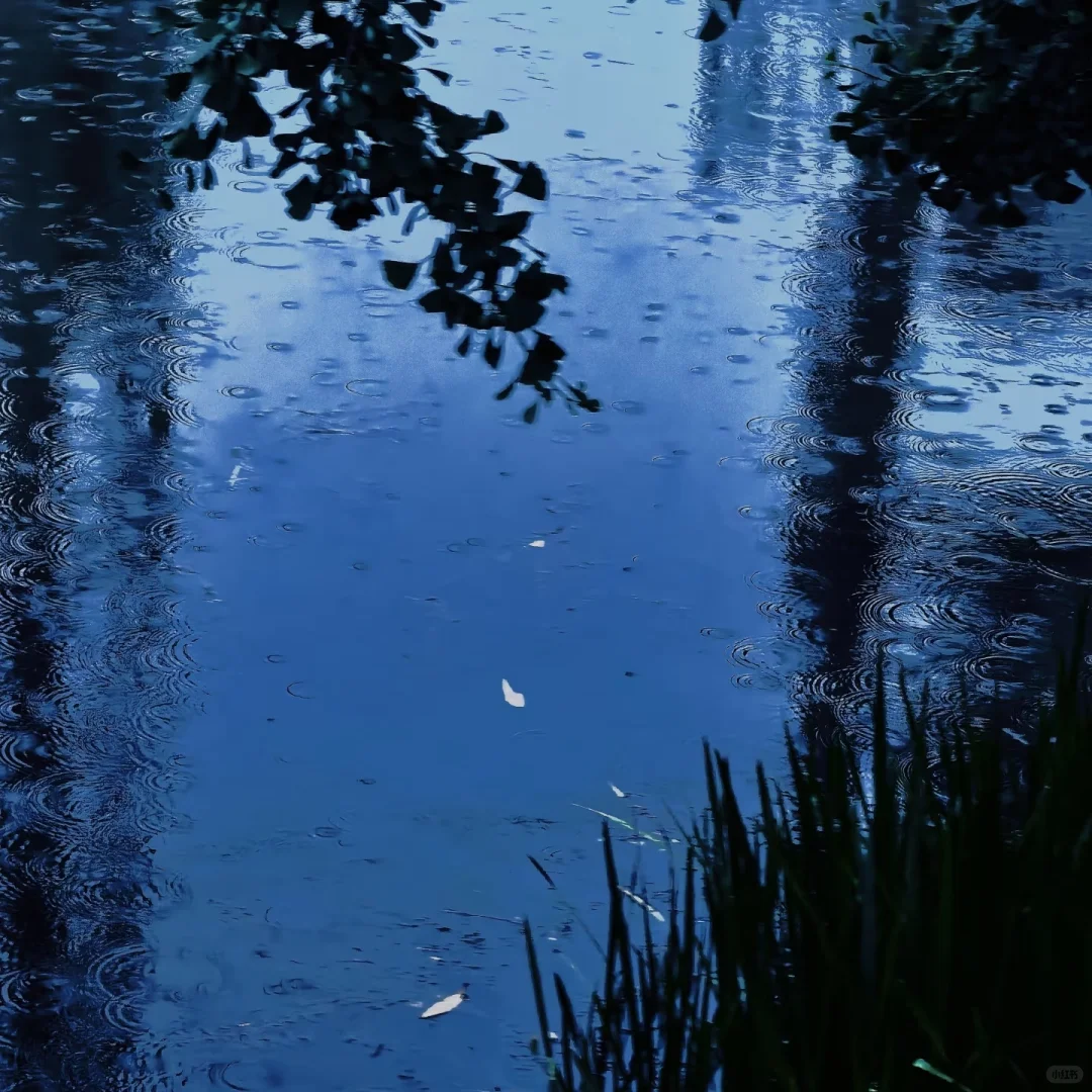 审美积累｜深蓝色｜壁纸头像背景图分享11