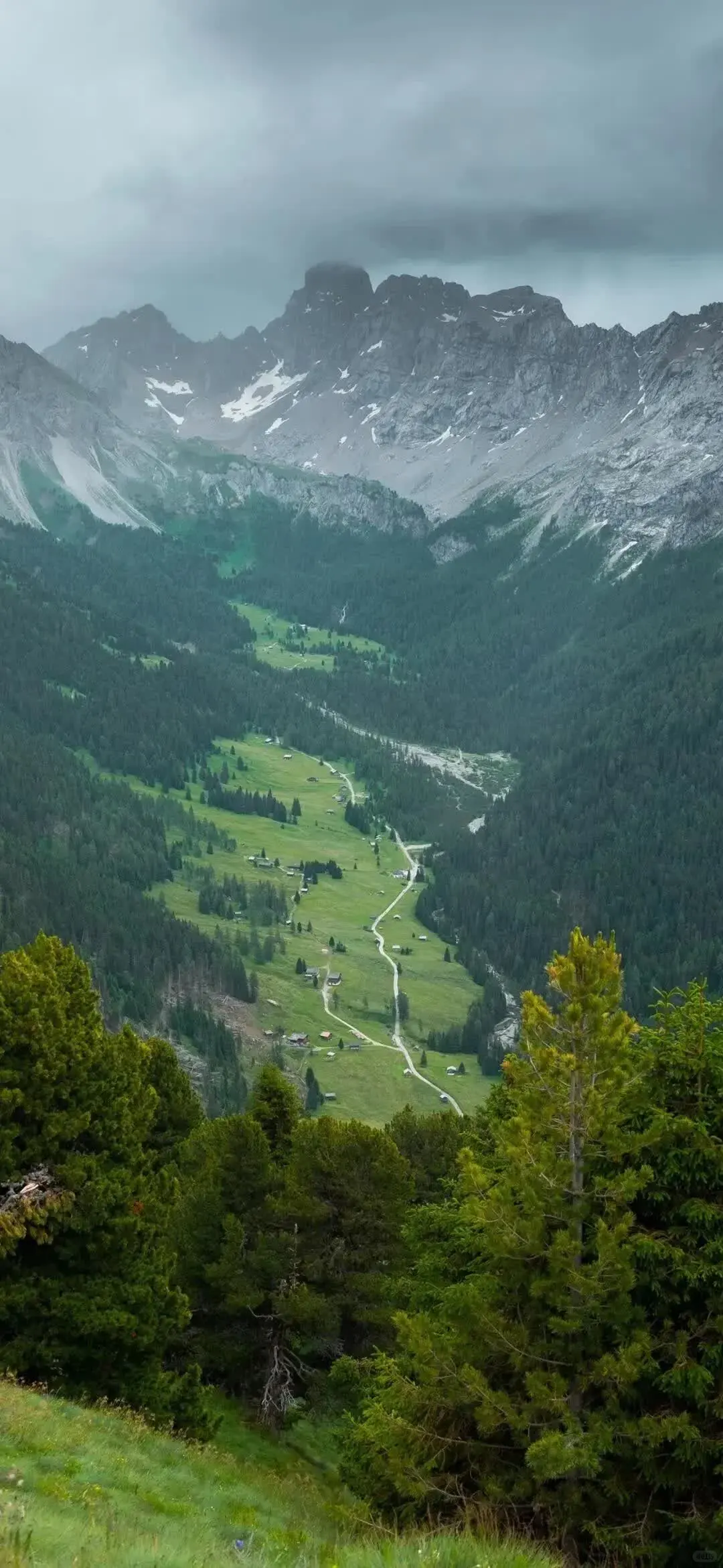 𝙎𝙝𝙖𝙧𝙚超清好看ins全屏壁纸