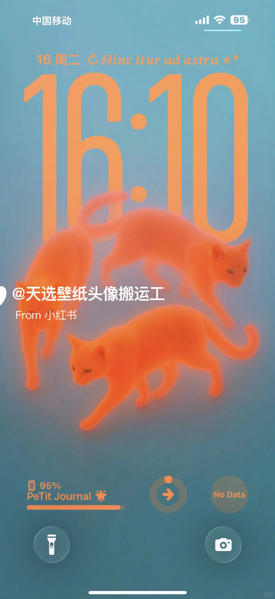 wallpaper| 小众壁纸12.16#动漫壁纸  #美式