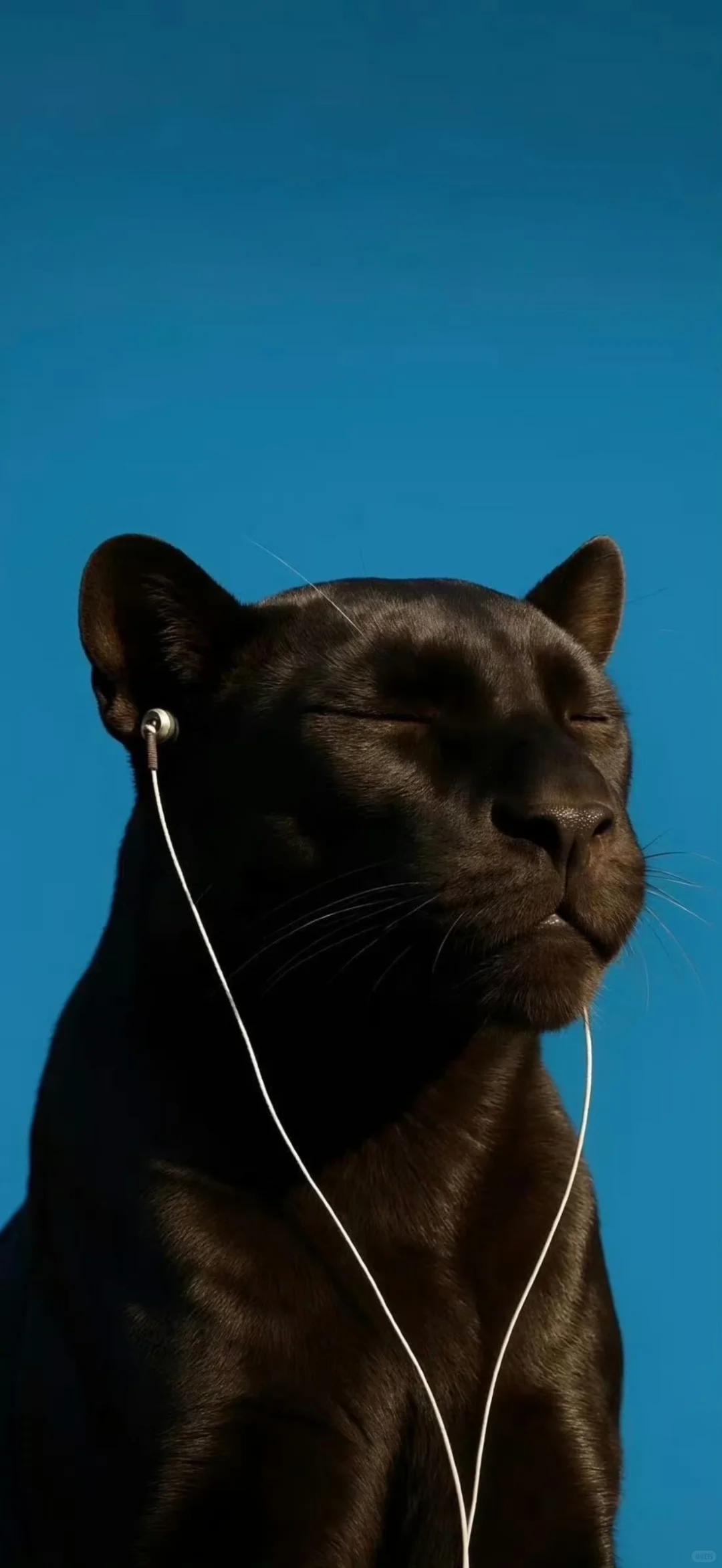 𝙬𝙖𝙡𝙡𝙥𝙖𝙥𝙚𝙧｜ins风壁纸｜ios26高清