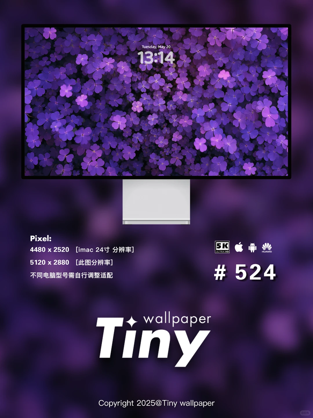 紫色四叶草 壁纸4端丨高级感花朵壁纸