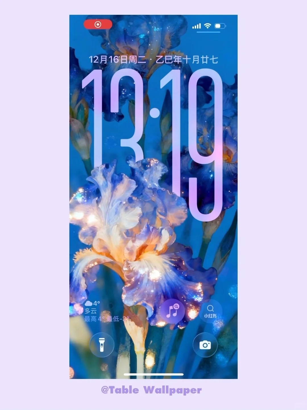 爱的使者鸢尾花｜ios26景深油画壁纸Z458