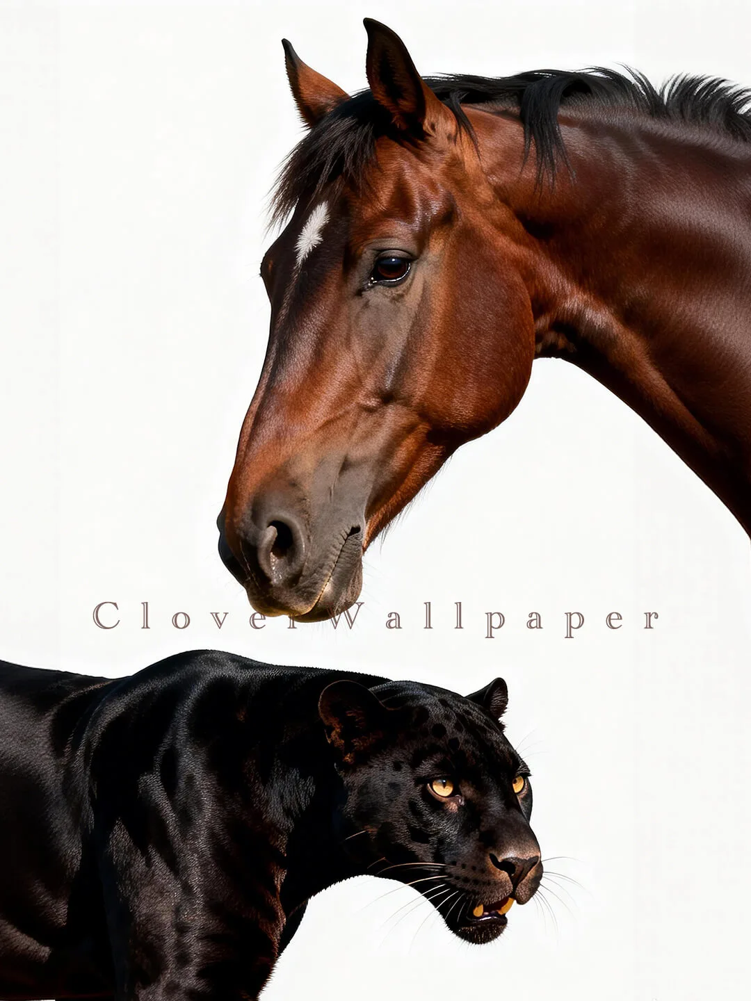 马上🐆富 马年限定高清壁纸