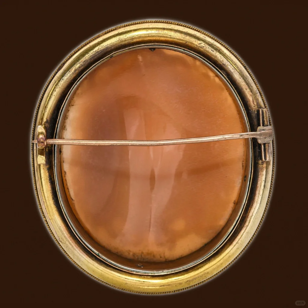 美杜莎｜一眼沉沦