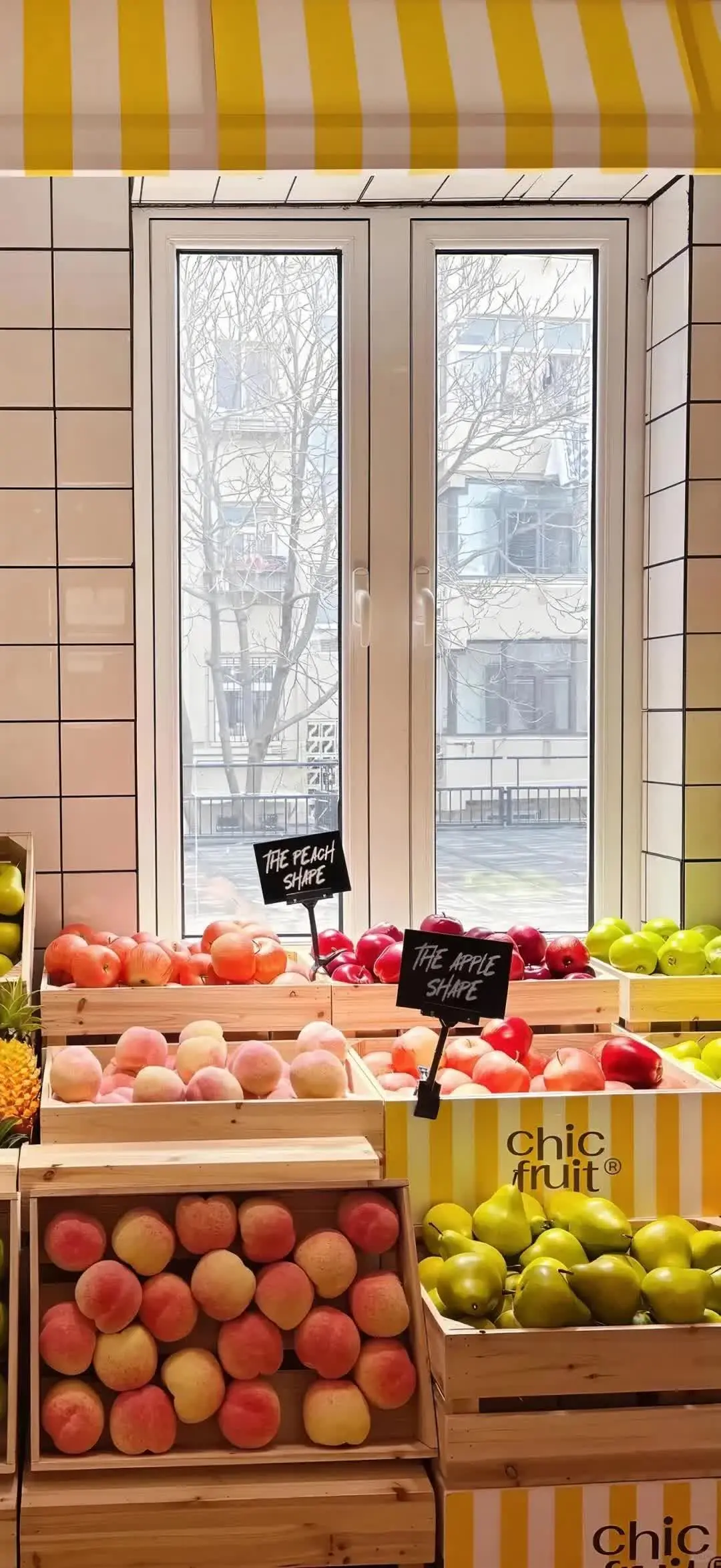 𝙎𝙝𝙖𝙧𝙚超清好看ins全屏壁纸