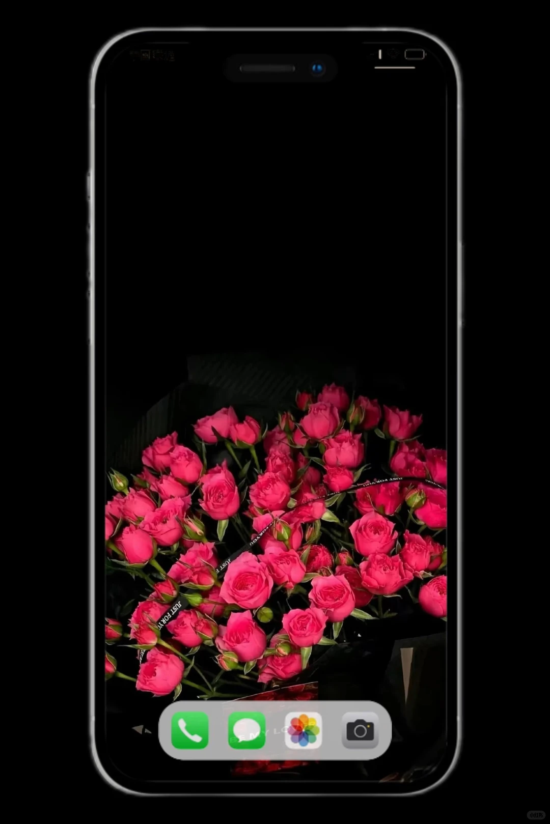 我爱的静物摄影壁纸来啦～